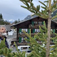 René schmückt den Tannenbaum