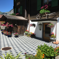 neu angelegter Vorplatz mit Blumen