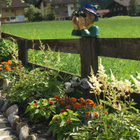 Impressionen ums Haus