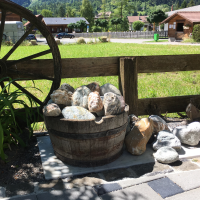 Impressionen ums Haus