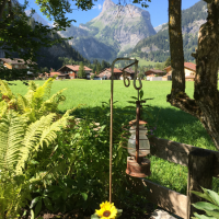 Impressionen ums Haus